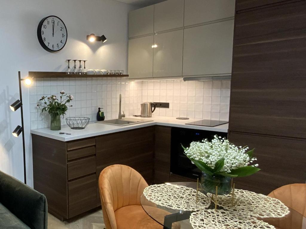 Kuchyň nebo kuchyňský kout v ubytování Alėjos Apartmentai City