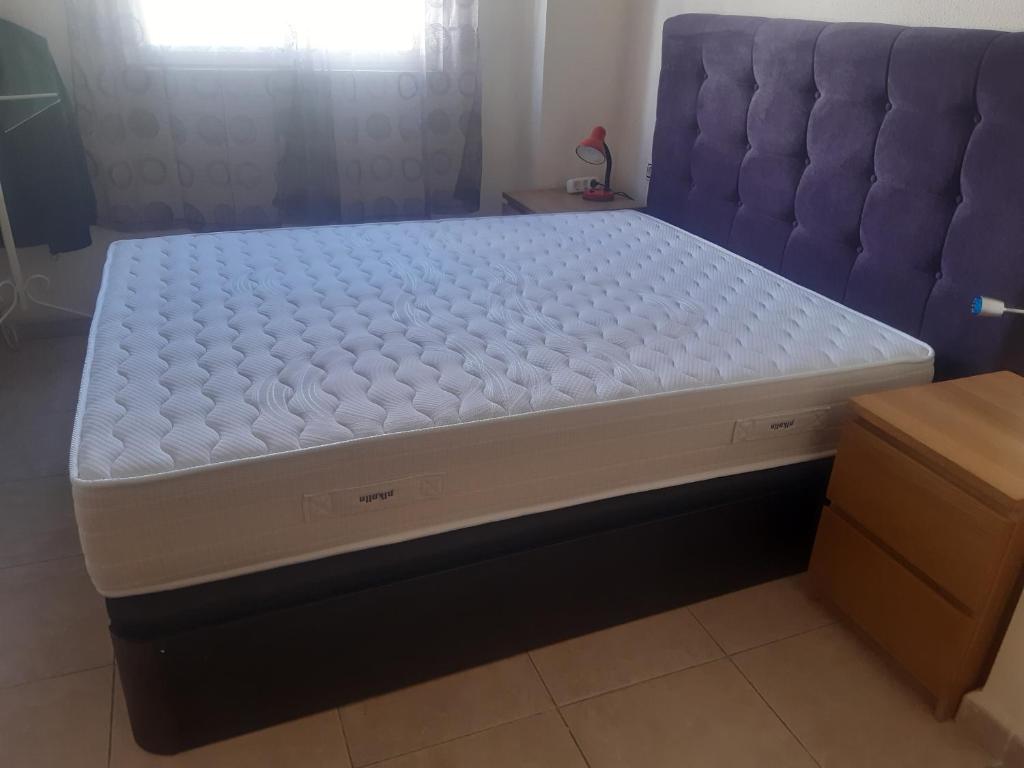 dominique gaspar, El Campello – Updated 2023 Prices