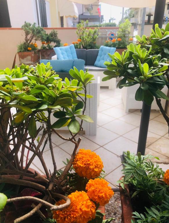 Zahrada ubytování Hotel Perla Del Mare
