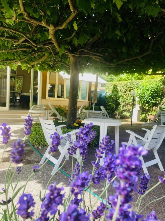 Zahrada ubytování Hotel Perla Del Mare