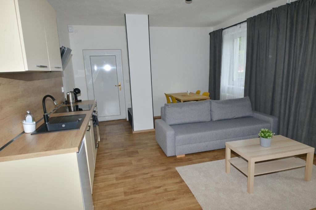 a kitchen and living room with a couch and a table at Apartmány u Pešlů in Železná Ruda