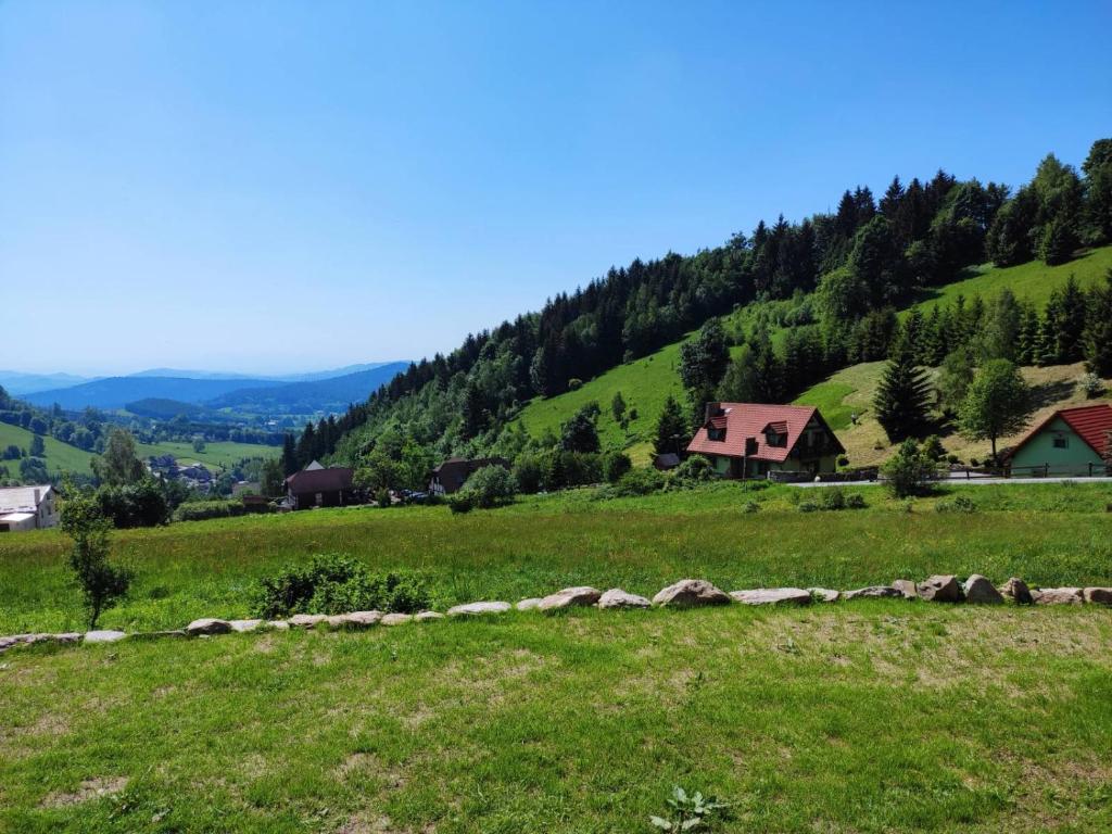 un champ verdoyant avec une maison sur une colline dans l'établissement Maślany Domek, à Sokolec