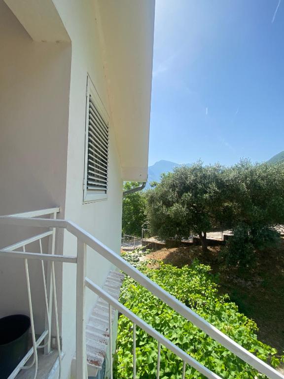 Apartments Djuricic - 12