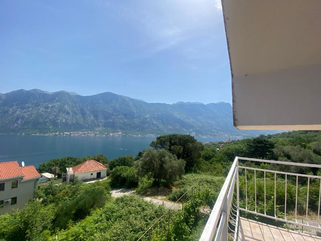 Apartments Djuricic - 11