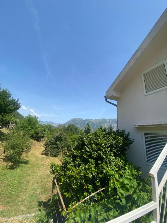 Apartments Djuricic - 5