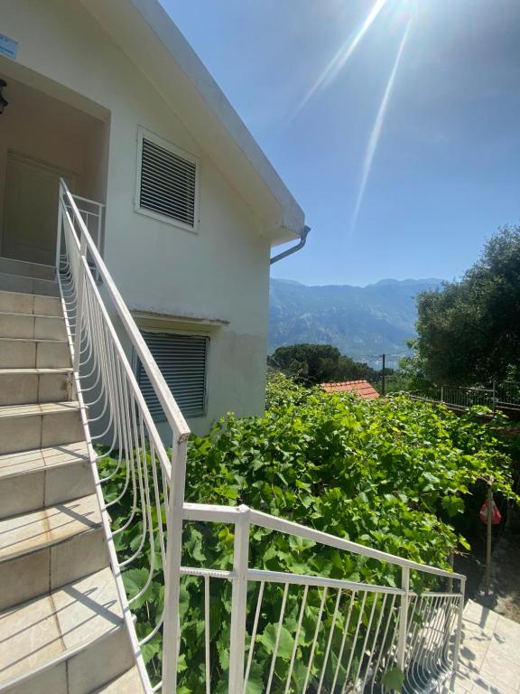 Apartments Djuricic - 14