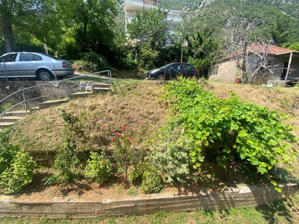 Apartments Djuricic - 16