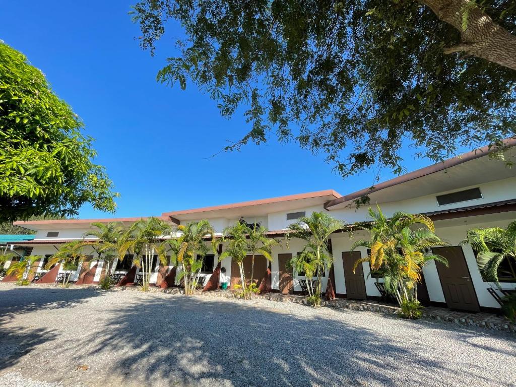 a building with palm trees in front of it at Kevin Resort in Thang Kwian