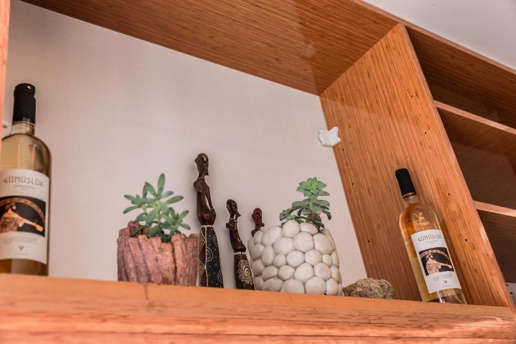 a shelf with bottles of wine and cactuses at Kaş Old Town Hotel in Kaş