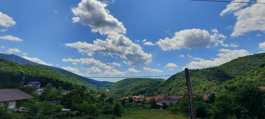 Příroda nedaleko penzionu