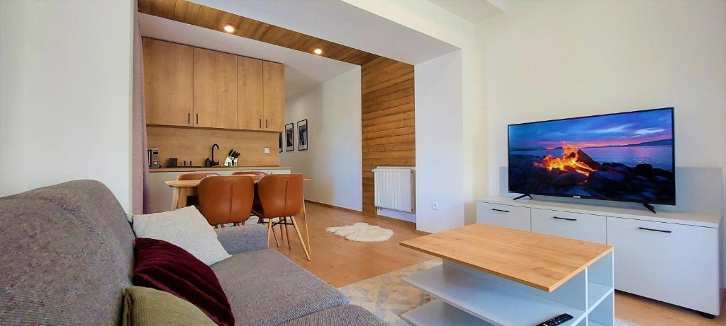 TV a/nebo společenská místnost v ubytování Apartment Confort 223 residence M2