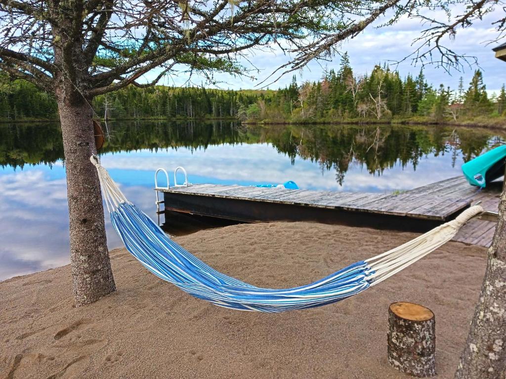 a hammock tied to a tree next to a dock at Fiddler's Lake Escape in Gabarus