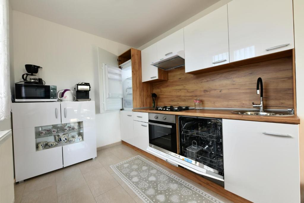 Kuchyňa alebo kuchynka v ubytovaní Apartment Mlađen