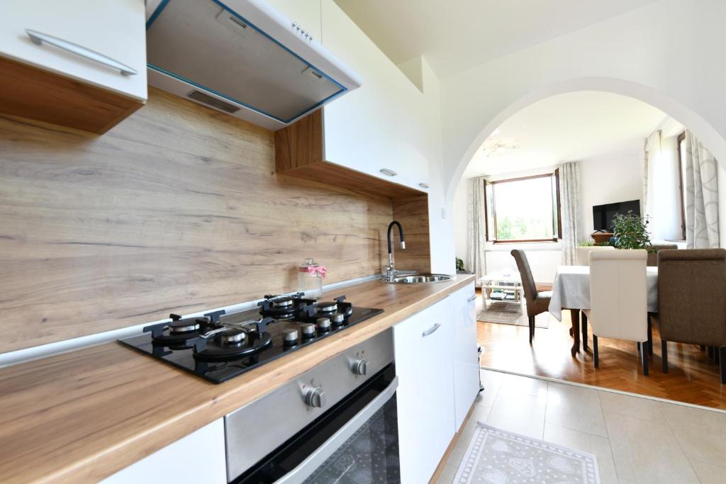 Kuchyňa alebo kuchynka v ubytovaní Apartment Mlađen
