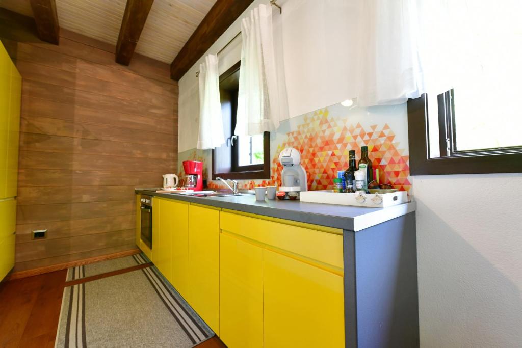 Kuchyň nebo kuchyňský kout v ubytování Villa Dobra