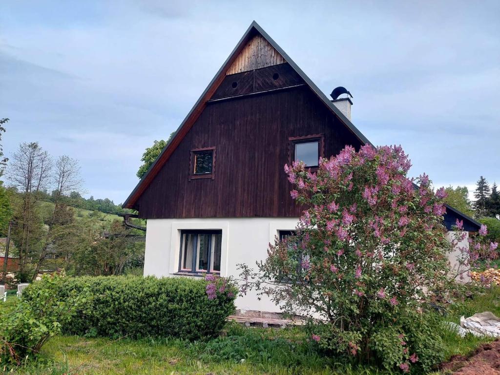 una casa marrón y blanca con un arbusto florido en Apartmán U Kaštanu, en Chvaleč