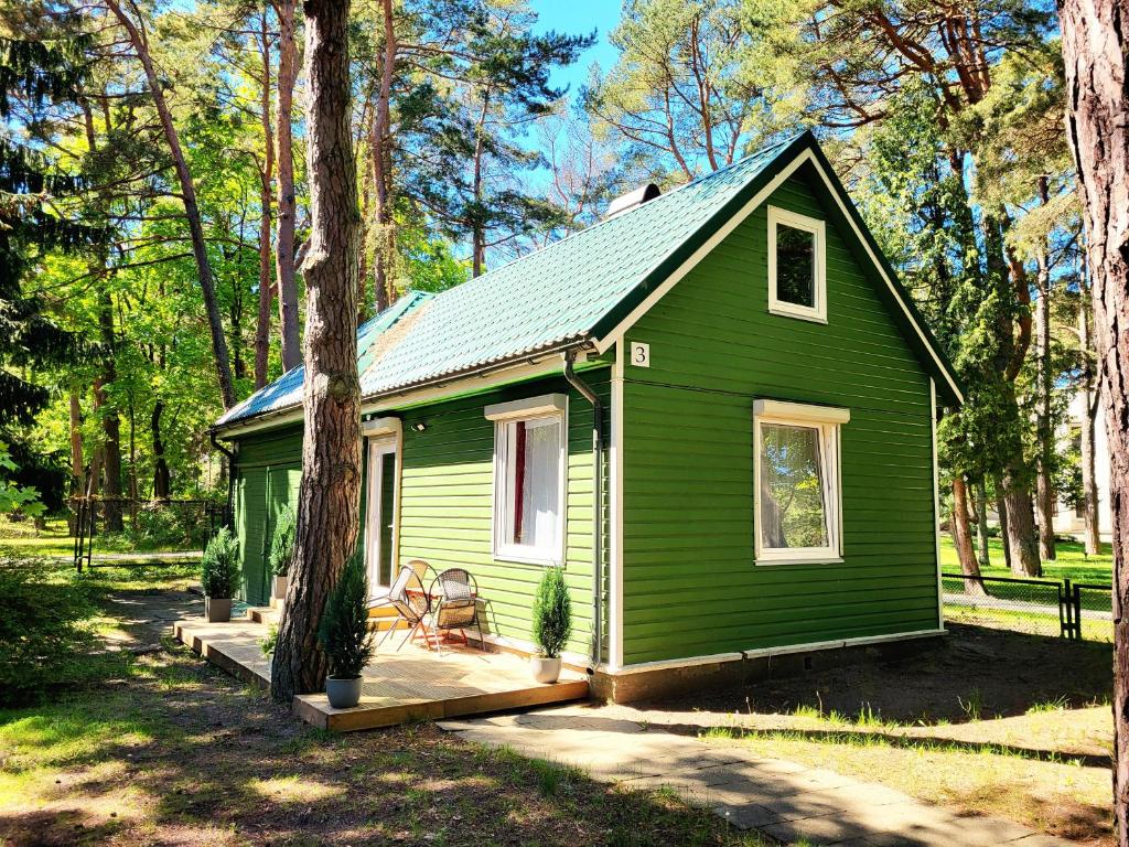 a green tiny house in the woods at G3 in Palanga