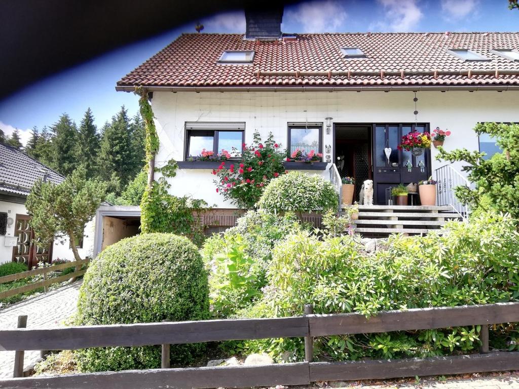 uma casa com arbustos à frente em Ferienwohnung Anemone mit Bergblick em Braunlage