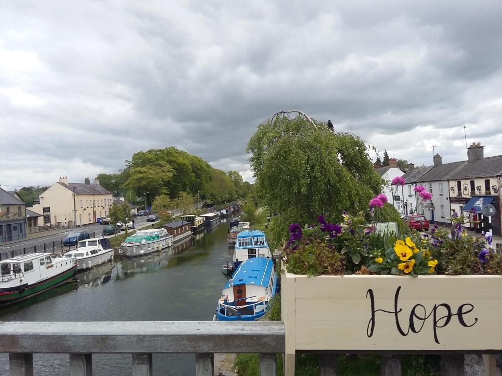 a view of a river with boats and flowers at Sallins Loft in Sallins