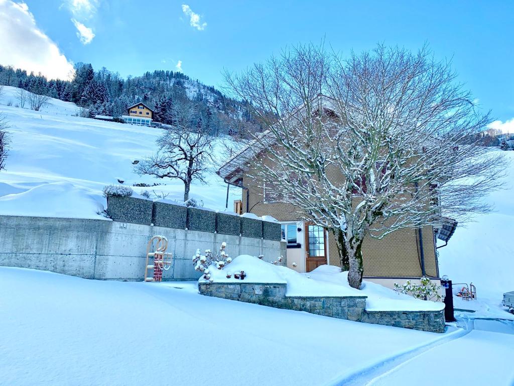 Mountain peace in the heart of Switzerland v zimě