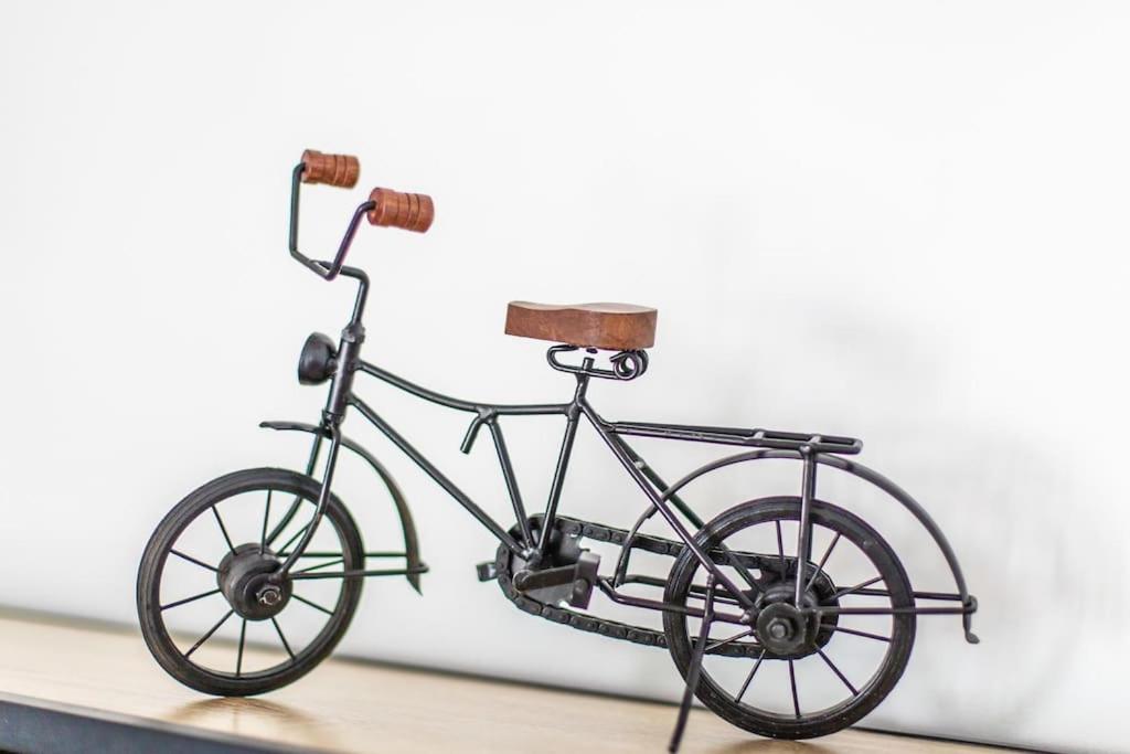 Jazda na bicykli v okolí ubytovania Villa Blanche, Contemporary, Cathars, Couiza, Carcassonne