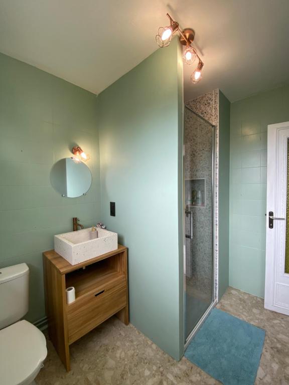 La salle de bains est pourvue d'un lavabo et d'une douche. dans l'établissement Maison spacieuse et autonome au centre-ville de Tournus, à Tournus