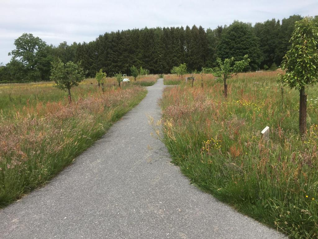 a path in the middle of a field with trees at Rocroi: Gîte de Bourgogne in Rocroi