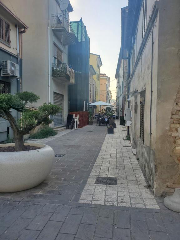 Okolie apartmánu