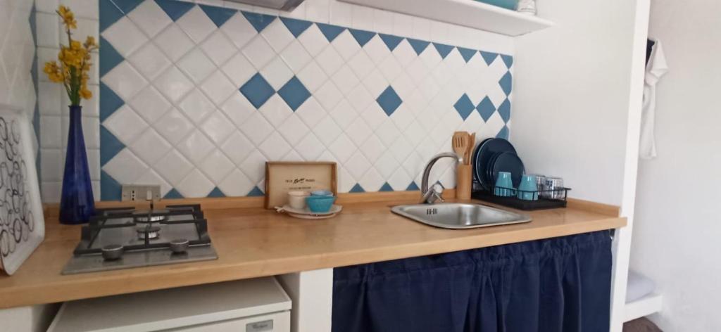 Kuchyň nebo kuchyňský kout v ubytování Casa delle Ginestre