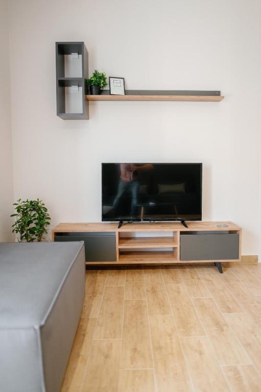 Televízia a/alebo spoločenská miestnosť v ubytovaní STAMATINA'S LUXURY APARTMENTS (DELUXE SUITE)