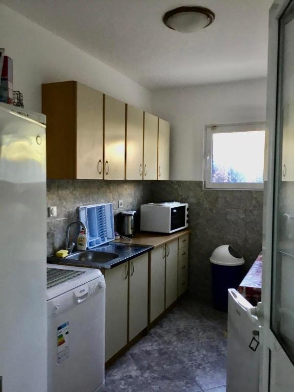 Kuchyň nebo kuchyňský kout v ubytování DK Apartmani