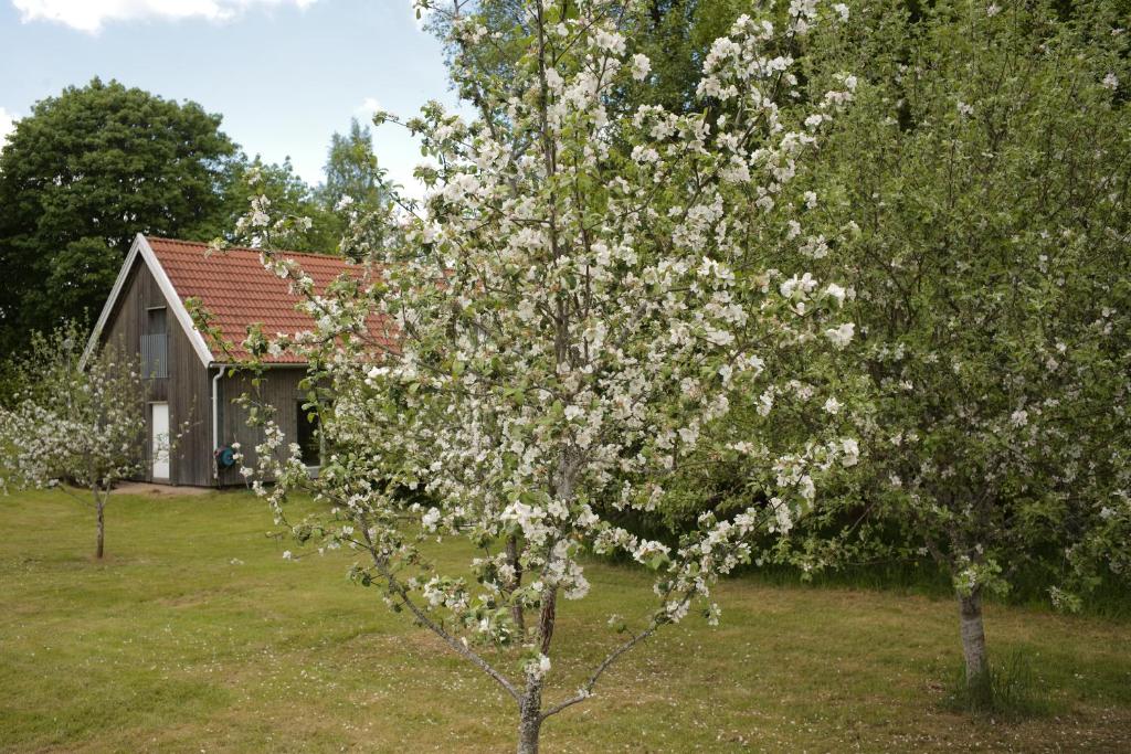 Zahrada ubytování Gransäng Loft House