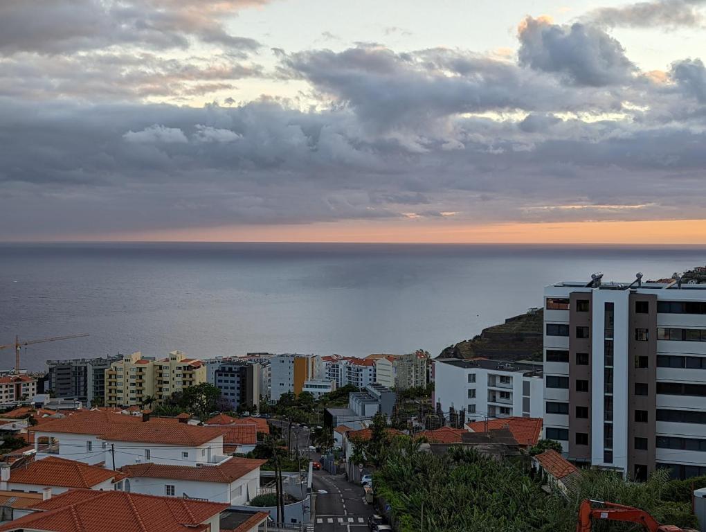 uma vista de uma cidade com o oceano ao fundo em Madeira Luxury Amparo Apartment no Funchal