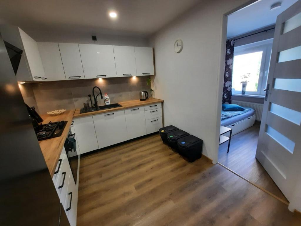 Kuchyňa alebo kuchynka v ubytovaní Orlicka Apartament