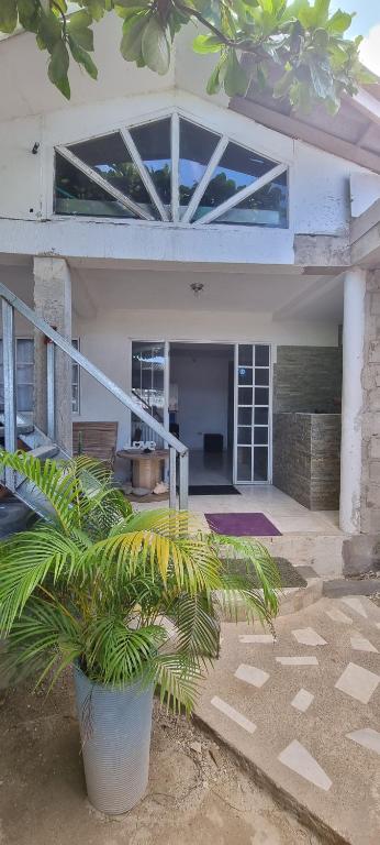 a house with a plant in front of it at Casa Hostel San Andres in San Andrés