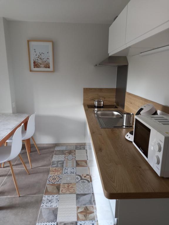 eine Küche mit einer Spüle und einer Theke mit einer Mikrowelle in der Unterkunft Le Loutin in Saint-Bonnet-en-Champsaur