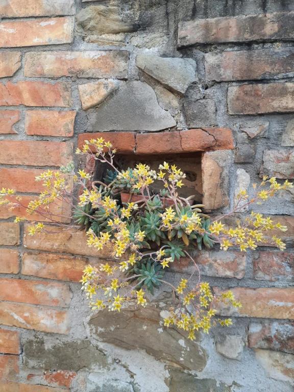 Fotografia z galérie ubytovania Agriturismo Il Truffarello TODI v destinácii Todi