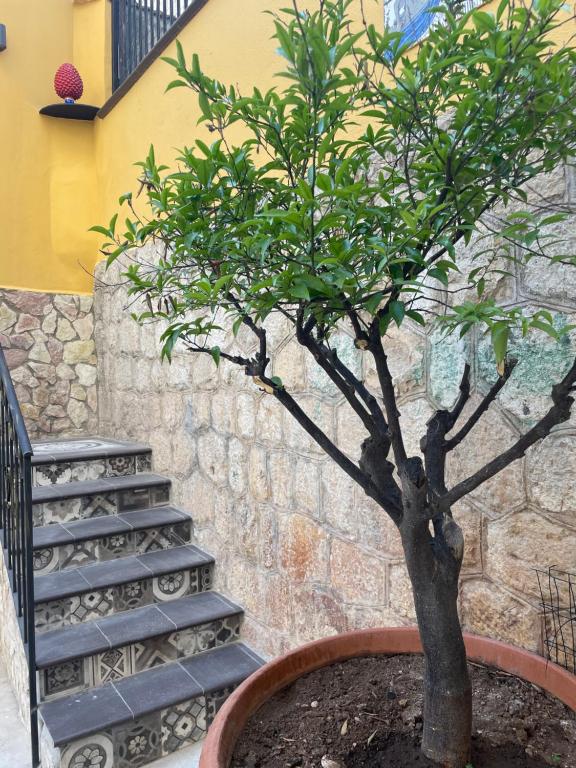 Casa vacanze donna Pina - 6