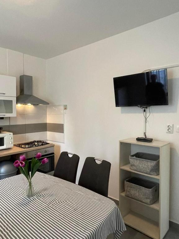 Kuchyň nebo kuchyňský kout v ubytování Apartment Greta