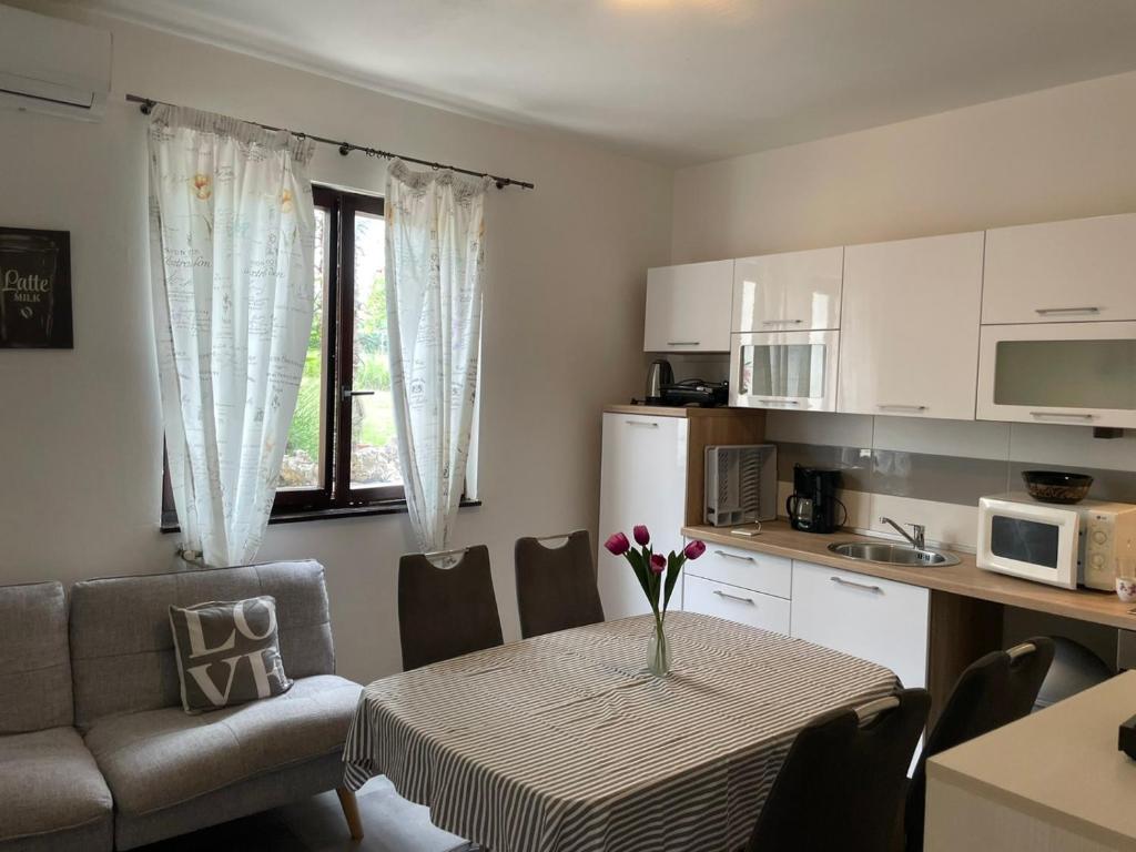Kuchyň nebo kuchyňský kout v ubytování Apartment Greta