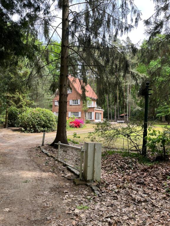 a bench sitting in front of a tree in front of a house at Les Barolins in Rotselaar