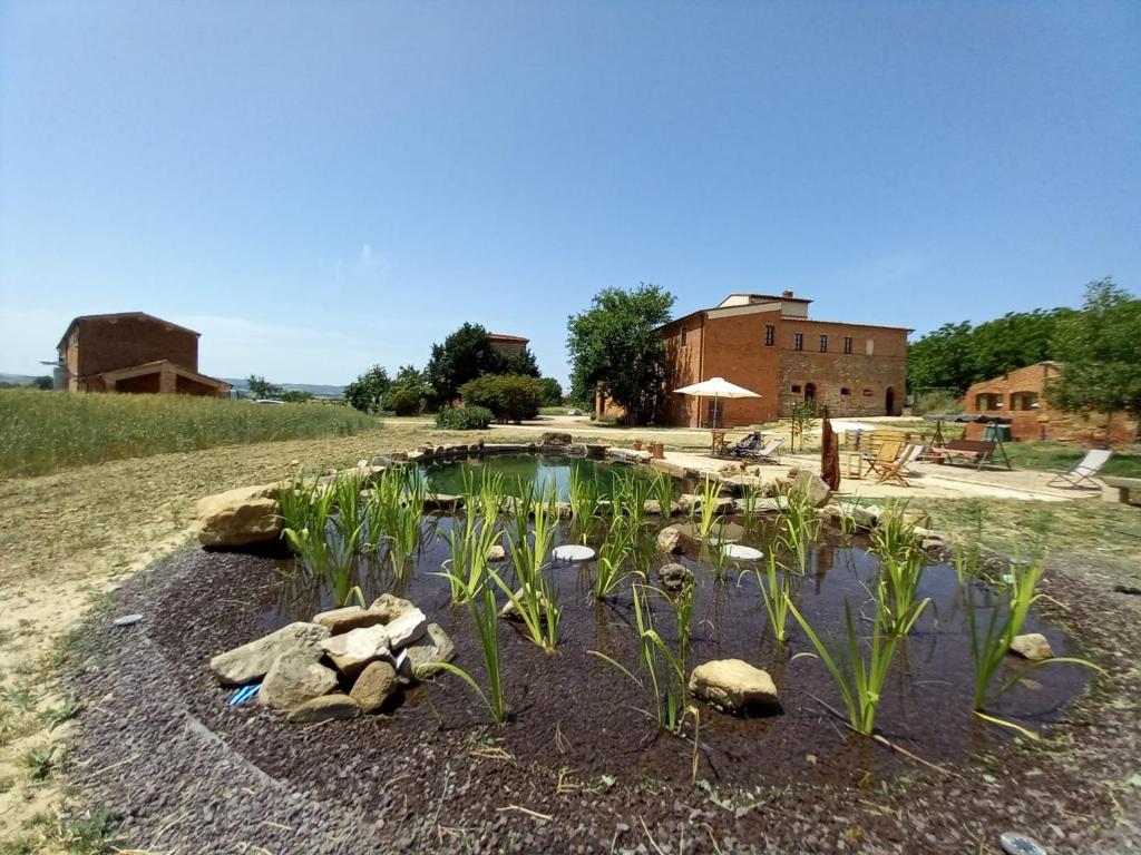 un étang avec des rochers et des plantes dans la terre dans l'établissement Agriturismo Podere Padolecchie - Azienda Agricola Passerini, à Torrita di Siena