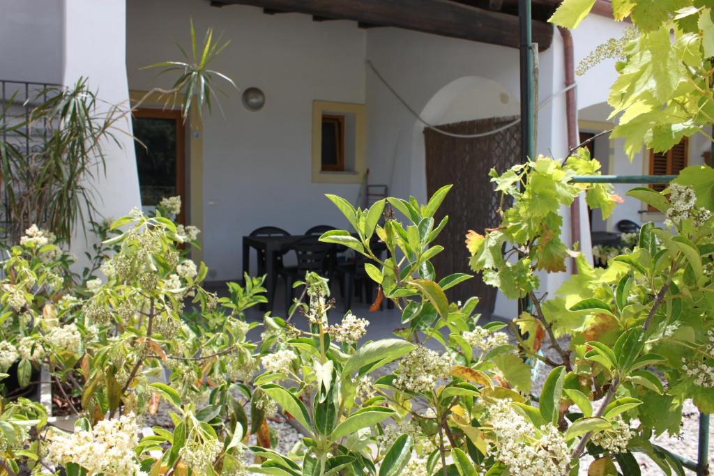 Giardino di Binja Fortuna