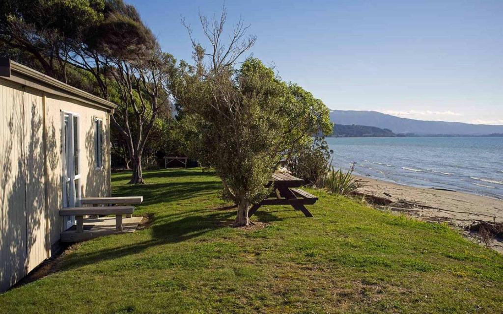 ein Picknicktisch und ein Baum neben dem Wasser in der Unterkunft Pohara Beach TOP 10 Holiday Park in Pohara