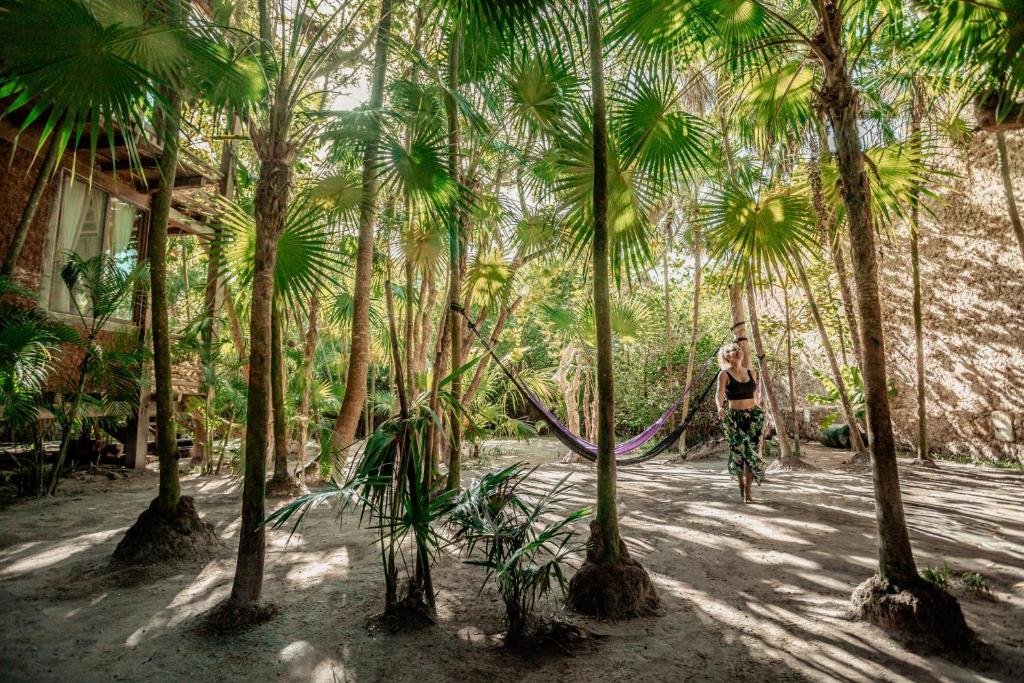 Giardino di Hidden Treehouse Tulum Eco-Hotel
