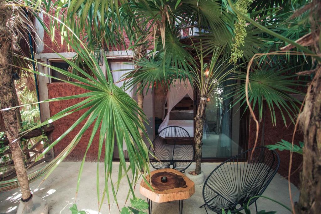 Hidden Treehouse Tulum Eco-Hotel - 带露台的双人间