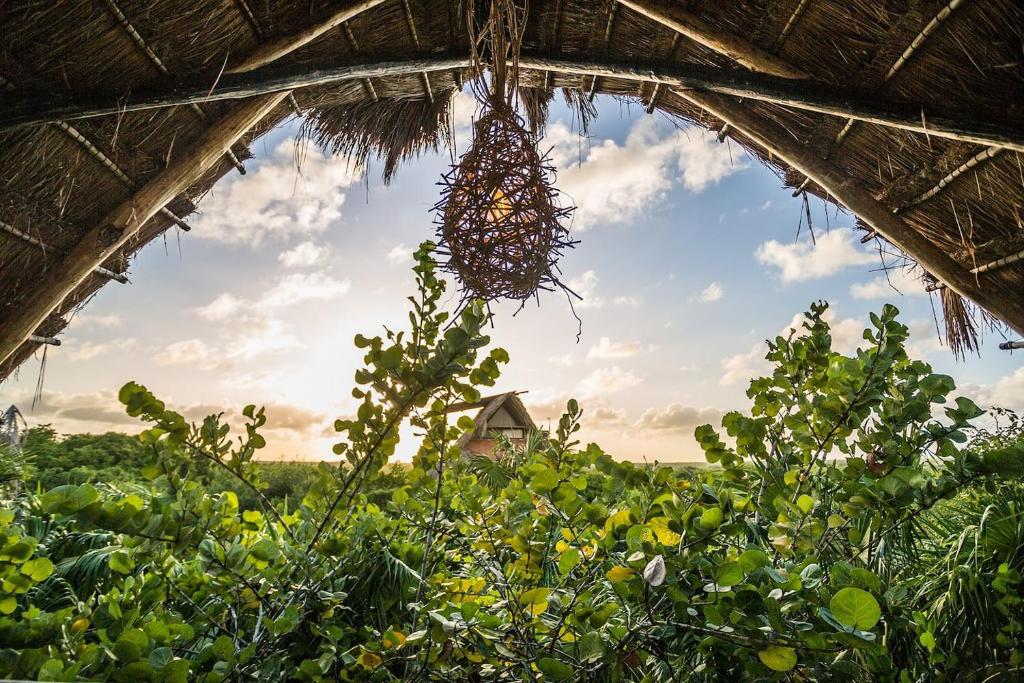 Hidden Treehouse Tulum Eco-Hotel - 初级套房与阳台