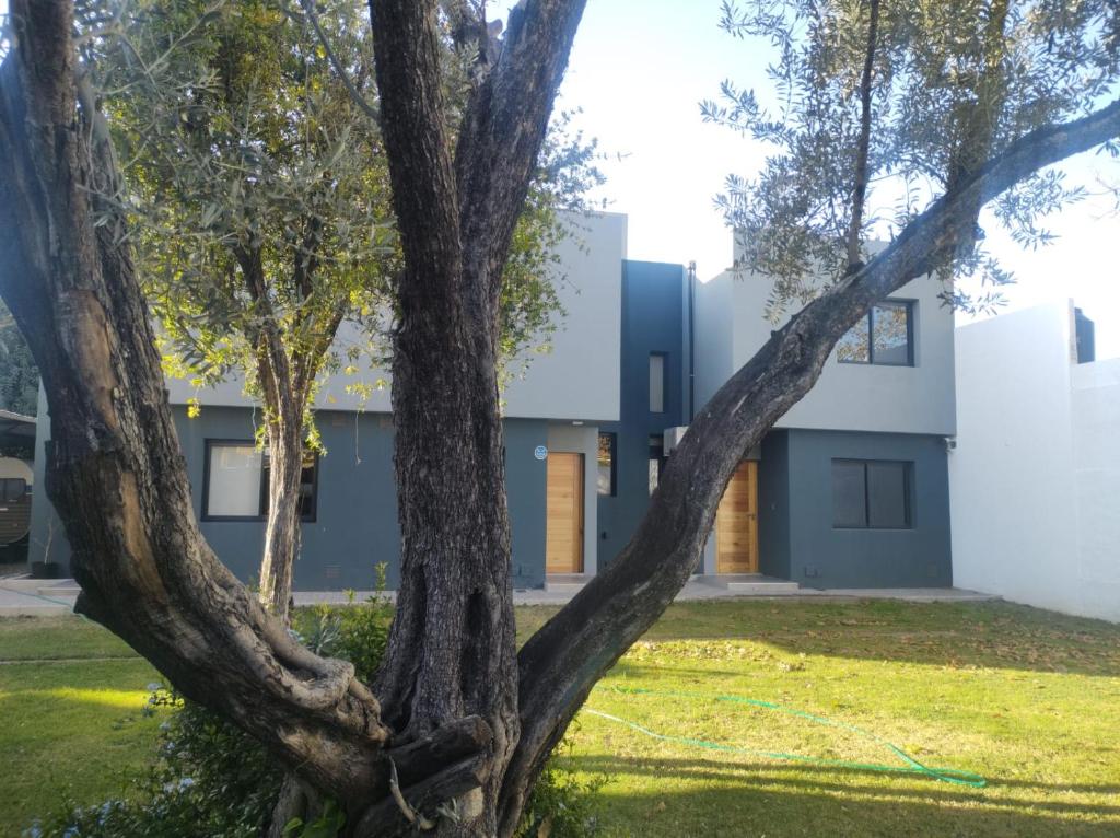a tree in front of a building at Complejo Claret, Departamentos a metros de Sanatorio Allende y Hospital Privado Cerro in Cordoba