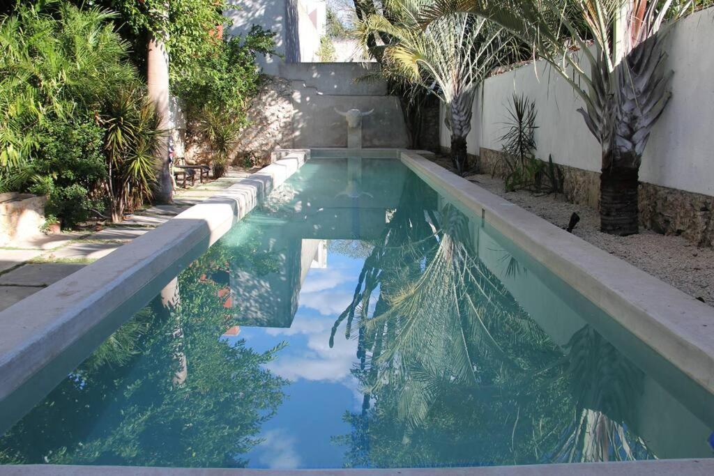 Renovated colonial house with sixty-foot pool