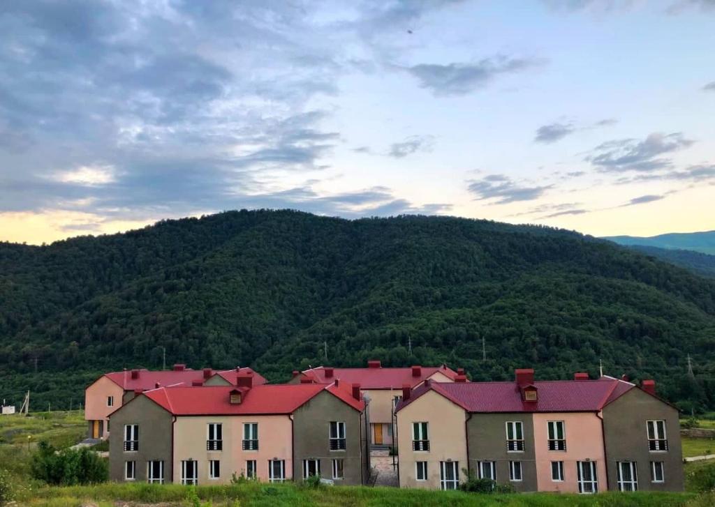 Apartment Rest house Dilijan, Armenia